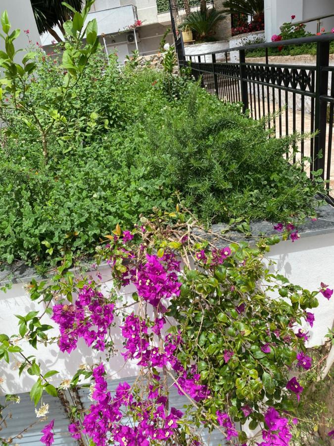 Apartamente Berti'S Garden Saranda Dış mekan fotoğraf