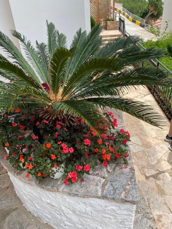 Apartamente Berti'S Garden Saranda Dış mekan fotoğraf